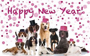 Image result for Funny Happy New Year Puppy