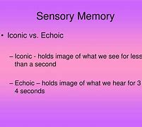 Image result for Echoic Memory