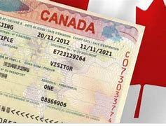 Image result for Canada Transit Visa