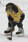 Image result for Funny Hockey