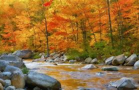 Image result for Fall Background 1920X1080