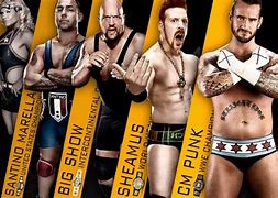 Image result for WWE Championsips