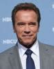 Image result for Arnold Schwarzenegger Outline