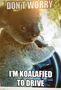 Image result for Koala Funny Sayings