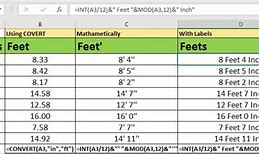 Image result for 169 Cm in Feet