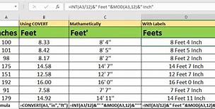 Image result for How Big Is 6 Feet