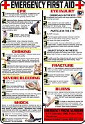 Image result for Emergency First Aid Poster