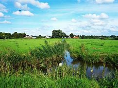 Image result for Netherlands Nature