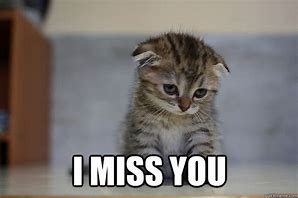 Image result for Missing You Sad Cat Meme