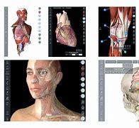 Image result for iPad Pro Anatomy