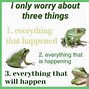 Image result for Baby Frog Meme