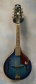 Image result for Washburn Acoustic Mandolin Blue