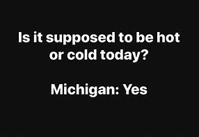 Image result for Pure Michigan Meme