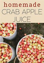 Image result for Crab Apple Juice
