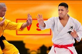 Image result for Judo vs Karate