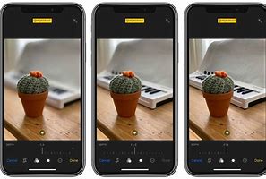 Image result for iPhone Camera Aperture Photo Artifacts