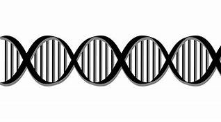 Image result for DNA Meme