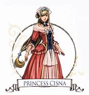 Image result for cisna