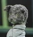 Image result for Cat Puppet Meme