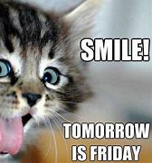 Image result for Free Images Pets Almost Friday