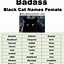 Image result for Shy Black Cat Names