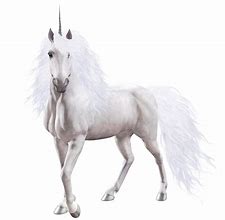 Image result for Unicorn Realistic Transparent