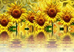 Image result for Pixabay Free Image Search Summer