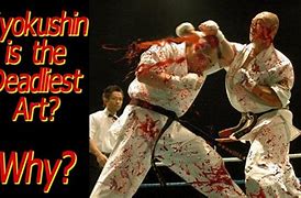 Image result for Deadly Martial Arts