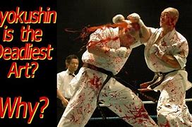 Image result for Deadliest Martial Arts Styles