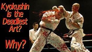 Image result for What is the deadliest martial arts?