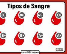 Image result for Tipos De Sangre Humana