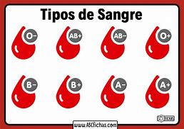 Image result for Tipos De Sangre