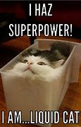Image result for Liquid Cat Meme
