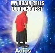 Image result for My Brain Cells during a Test Meme
