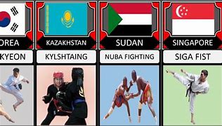 Image result for martial art by countries