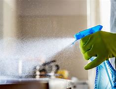 Image result for Kitchen Brif Clean Spray