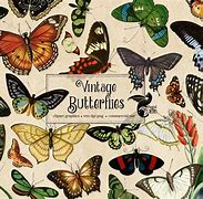 Image result for Retro Butterfly Clip Art