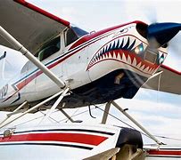 Image result for Cessna Seaplane