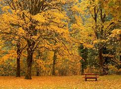 Image result for Seasonal Backgrounds