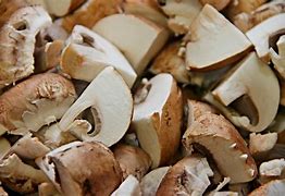 Image result for Mushrooms You Can Eat