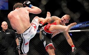 Image result for Mixed MMA Fight
