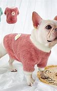 Image result for Dog Clothes