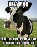 Image result for Daniel the Cow Meme