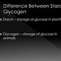 Image result for Back of Packaging Sugars