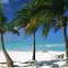 Image result for Bahamas Beach