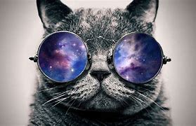 Image result for Galaxy Cat Meme Poster