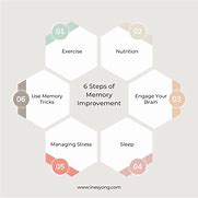 Image result for Memory Improvement Techniques