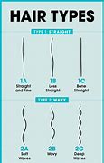 Image result for Type 4 Hair Diagram