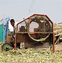 Image result for Cattle Rustler Tulare San Quentin