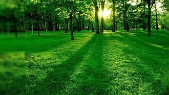 Image result for nature full screen wallpapers